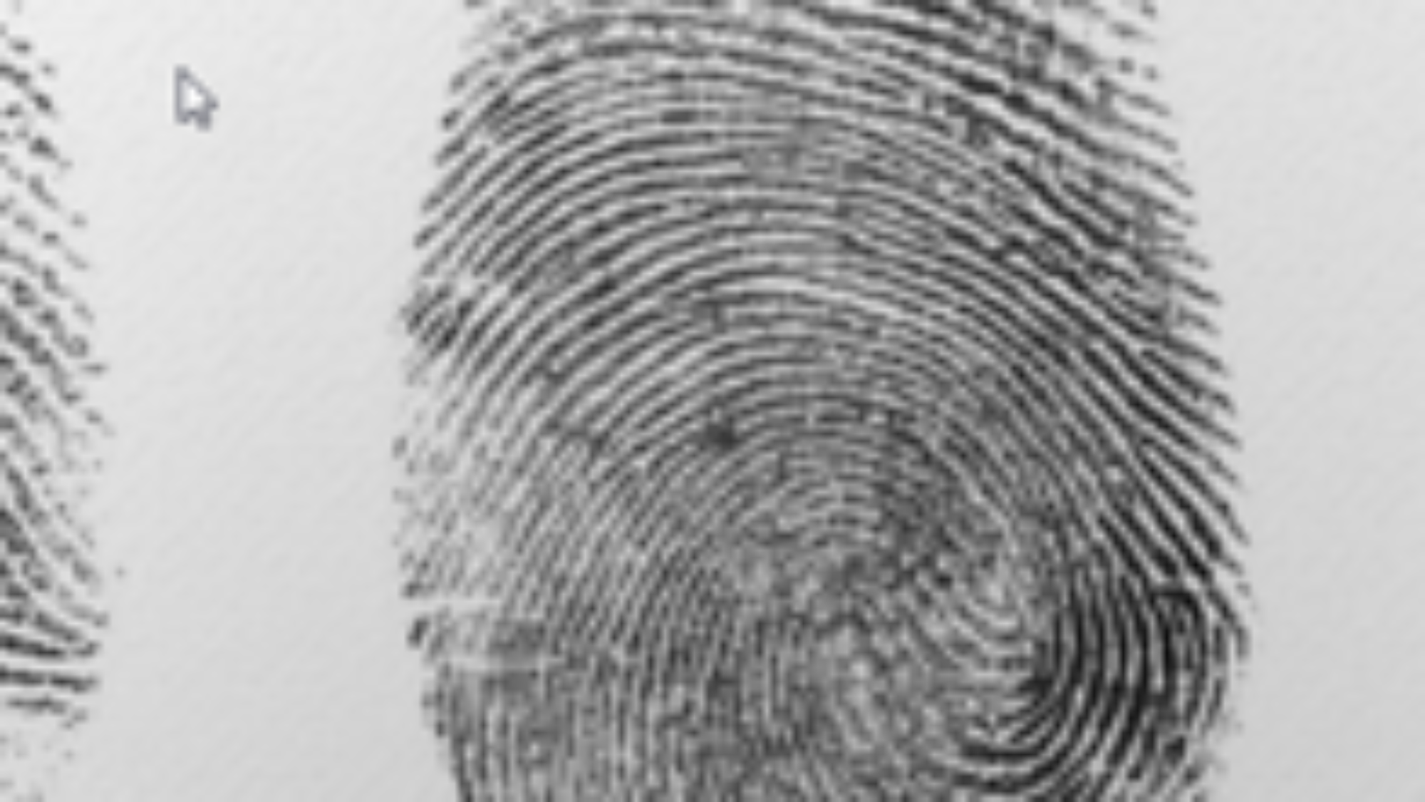 Fingerprint