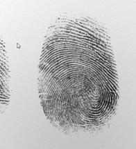 Fingerprint